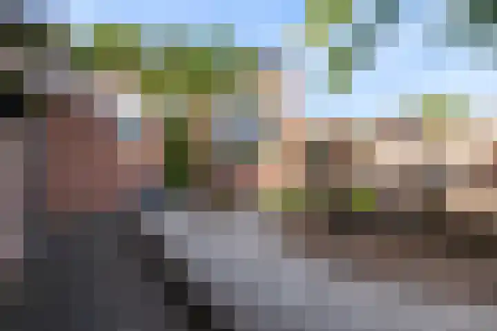 Roerdomplaan 169 Hoogeveen thumbnail 17