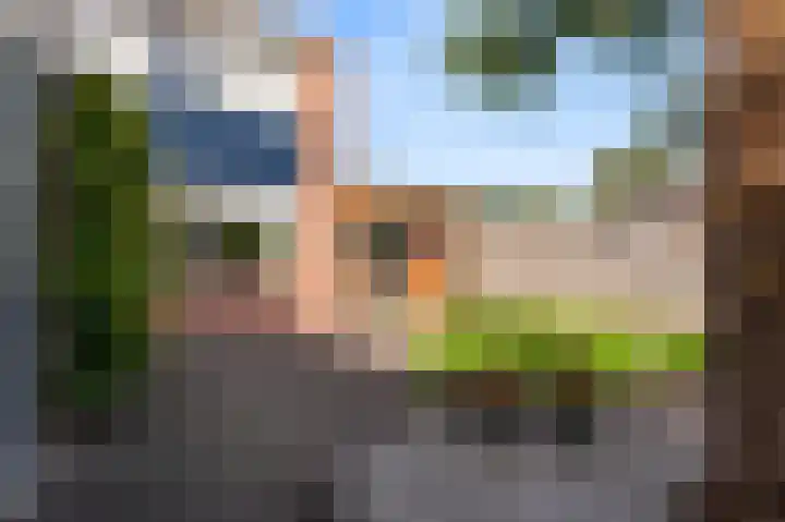 Roerdomplaan 169 Hoogeveen thumbnail 38