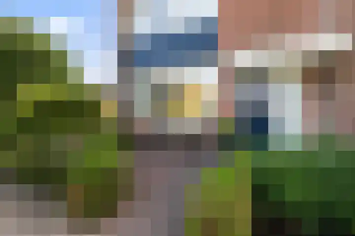 Roerdomplaan 169 Hoogeveen thumbnail 4