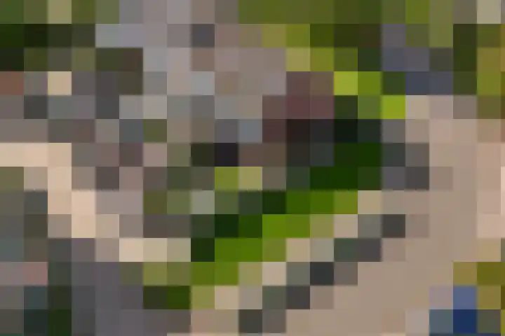 Roerdomplaan 169 Hoogeveen thumbnail 47