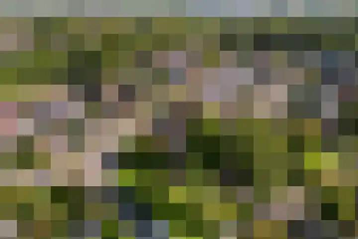 Roerdomplaan 169 Hoogeveen thumbnail 48
