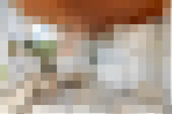 Roerdomplaan 17 Rhoon thumbnail 26