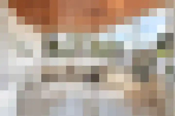 Roerdomplaan 17 Rhoon thumbnail 27