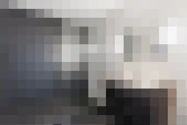 Roerdomplaan 17 Rhoon thumbnail 31