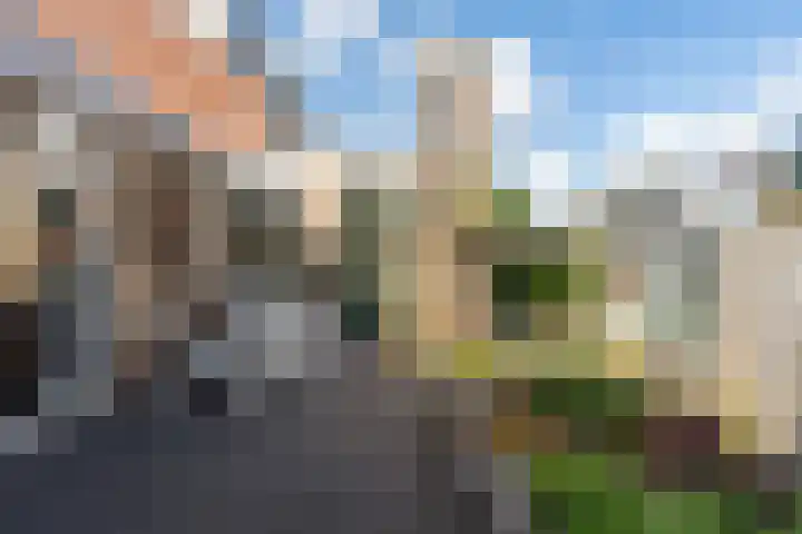 Roerdomplaan 17 Rhoon thumbnail 39