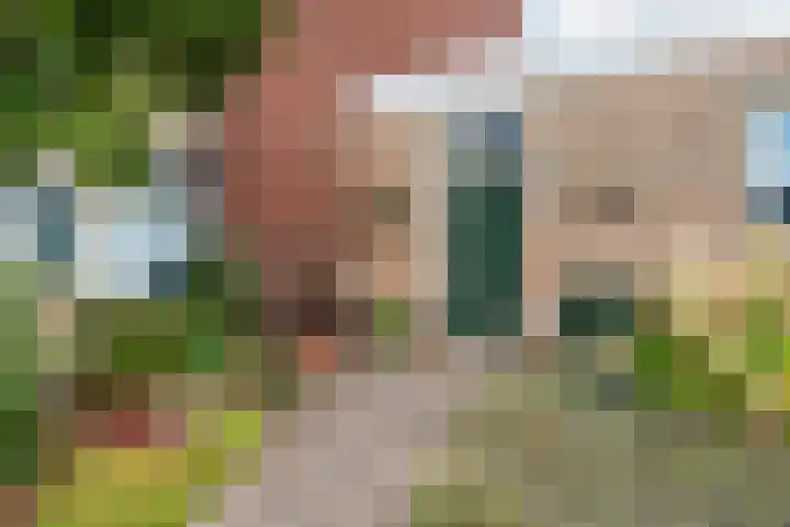 Roerdomplaan 17 Rhoon thumbnail 4