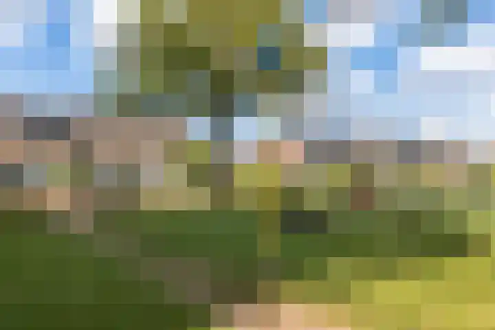 Roerdomplaan 17 Rhoon thumbnail 41