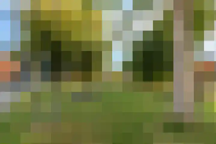 Roerdomplaan 17 Rhoon thumbnail 42