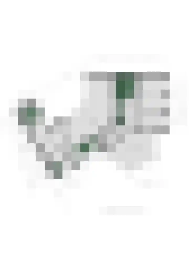 Roerdomplaan 17 Rhoon thumbnail 43