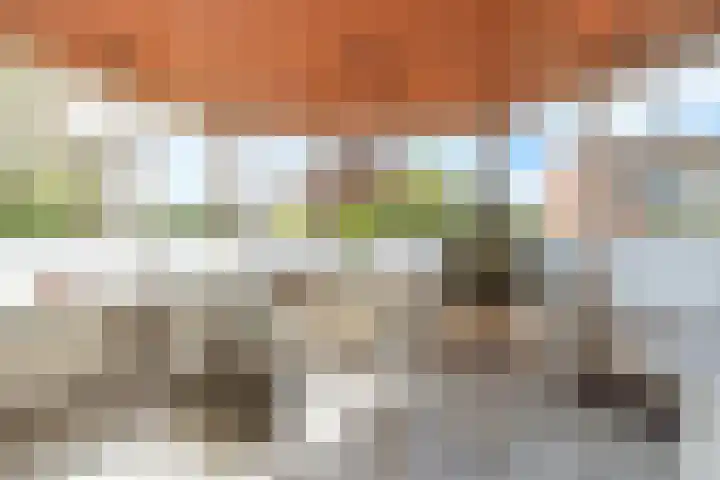 Roerdomplaan 17 Rhoon thumbnail 5