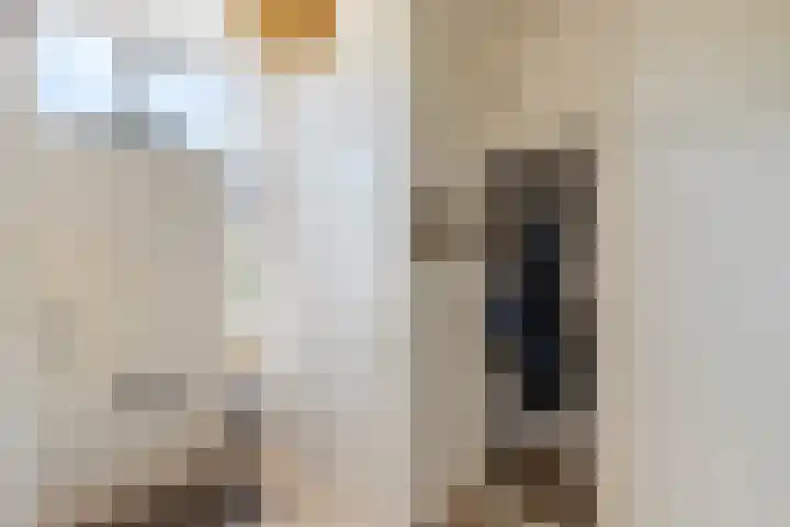 Roerdomplaan 17 Rhoon thumbnail 6