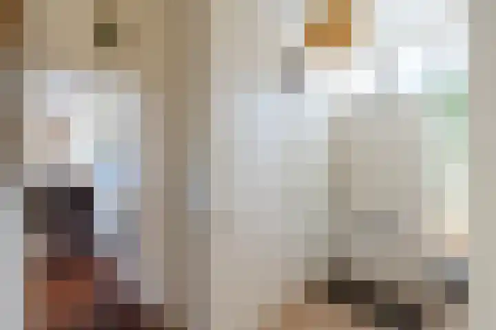 Roerdomplaan 17 Rhoon thumbnail 8