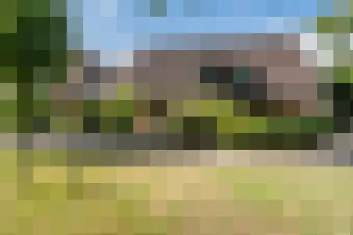 Roerdomplaan 204 in Hoogeveen