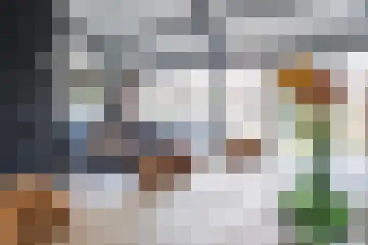 Roerdomplaan 204 Hoogeveen thumbnail 19