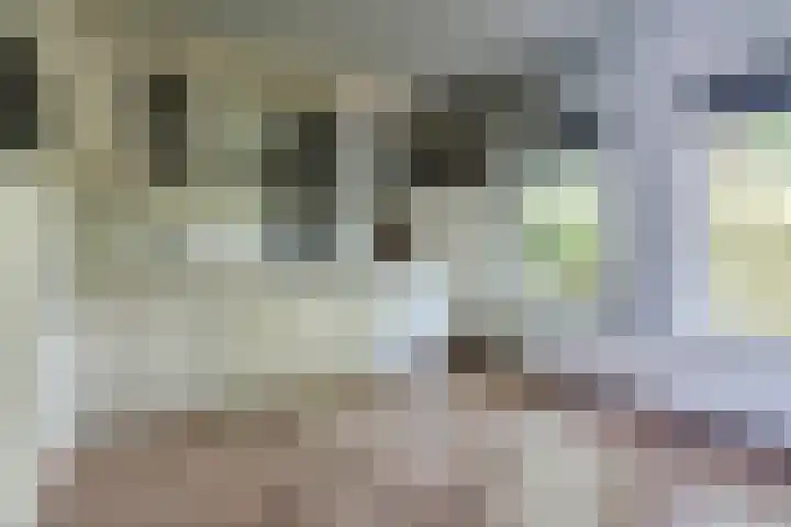 Roerdomplaan 204 Hoogeveen thumbnail 20