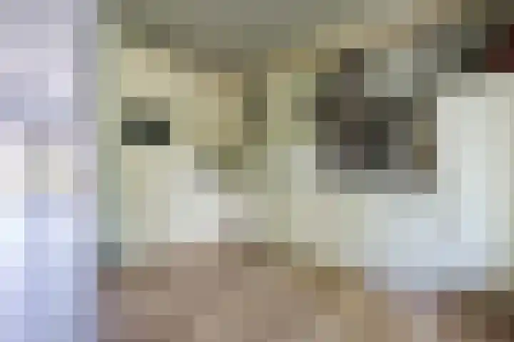 Roerdomplaan 204 Hoogeveen thumbnail 21