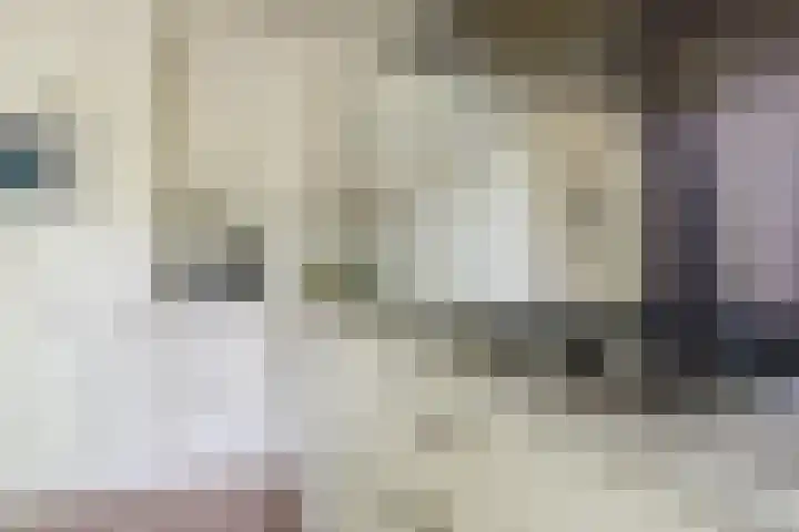Roerdomplaan 204 Hoogeveen thumbnail 22