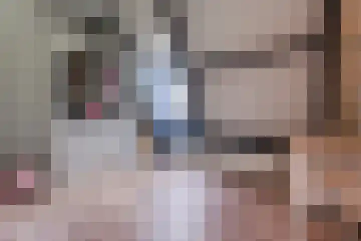 Roerdomplaan 204 Hoogeveen thumbnail 27