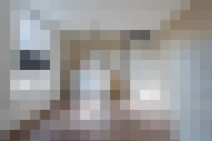 Roerdomplaan 204 Hoogeveen thumbnail 31