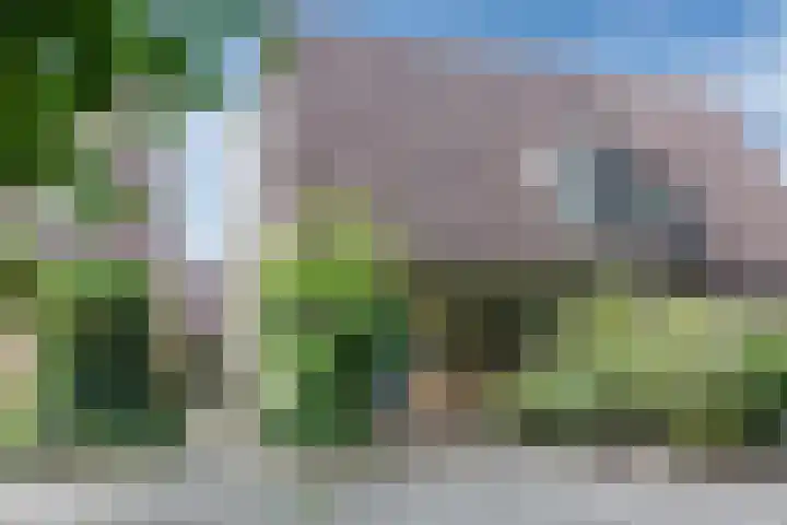 Roerdomplaan 204 Hoogeveen thumbnail 4