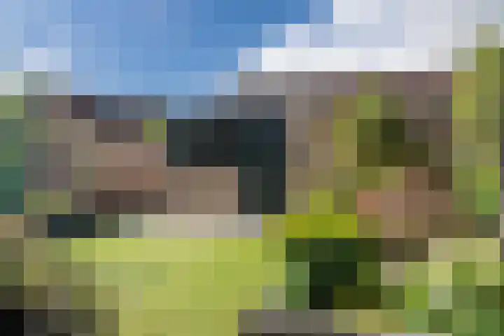 Roerdomplaan 204 Hoogeveen thumbnail 40