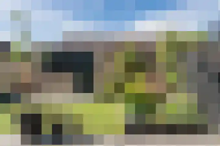 Roerdomplaan 204 Hoogeveen thumbnail 41