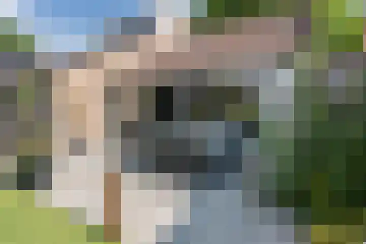 Roerdomplaan 204 Hoogeveen thumbnail 44