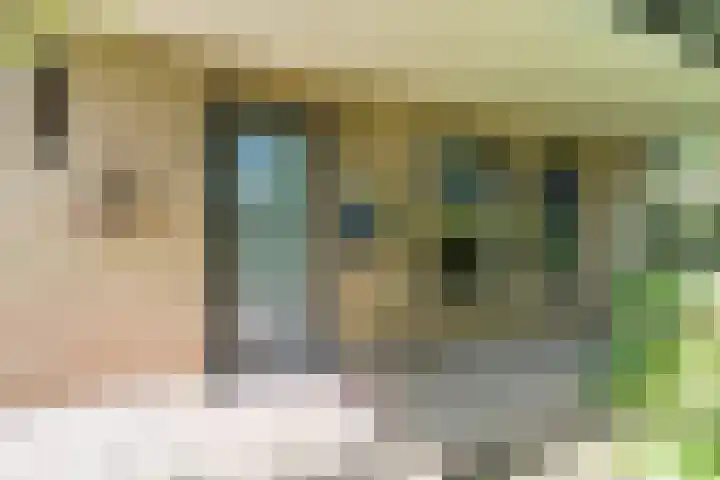 Roerdomplaan 204 Hoogeveen thumbnail 5