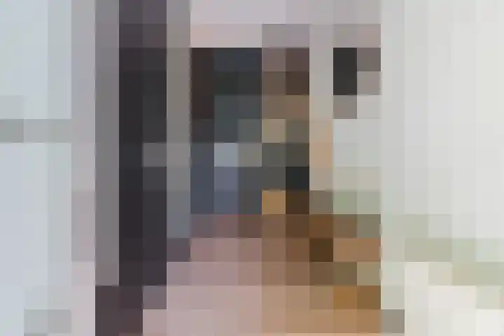 Roerdomplaan 204 Hoogeveen thumbnail 6