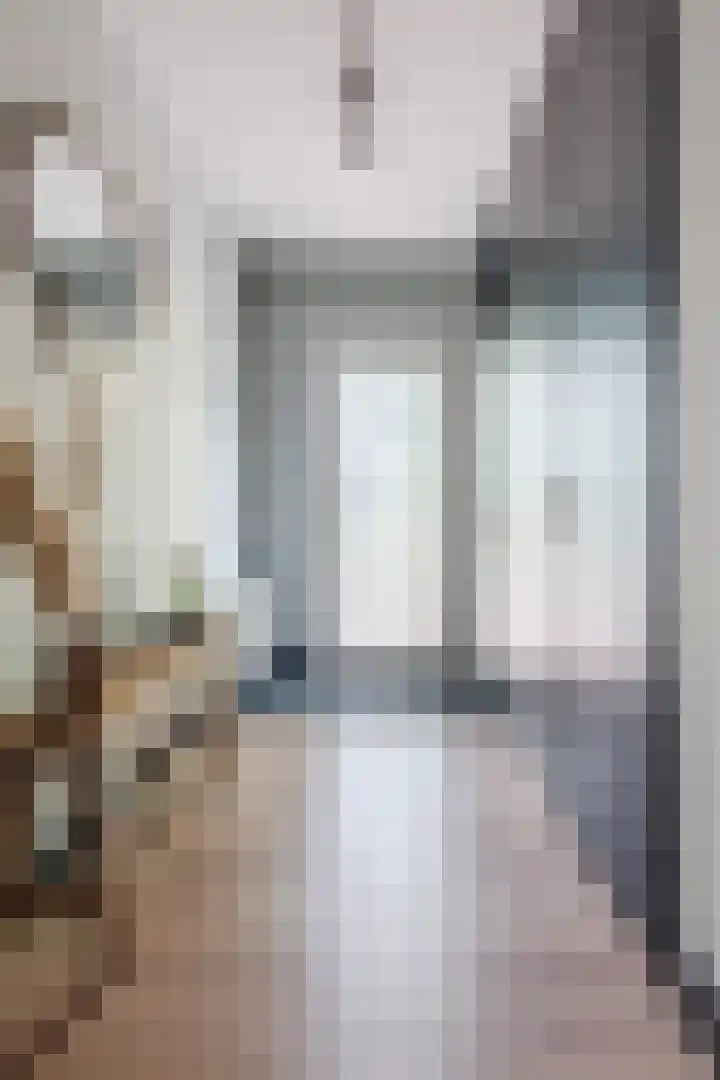 Roerdomplaan 204 Hoogeveen thumbnail 8