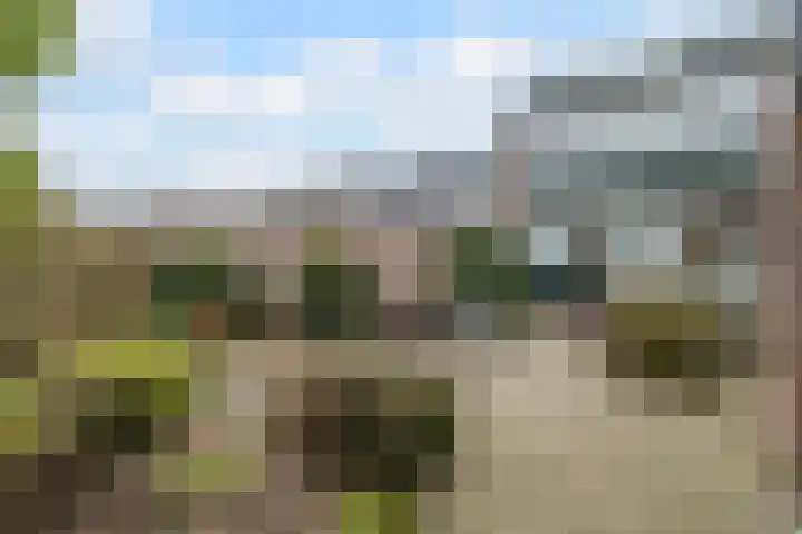 Roerdomplaan 23 Hoogeveen thumbnail 20