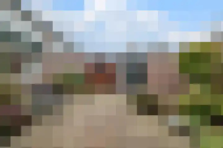 Roerdomplaan 23 Hoogeveen thumbnail 22