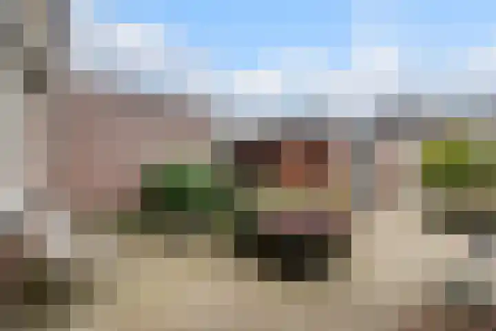 Roerdomplaan 23 Hoogeveen thumbnail 23