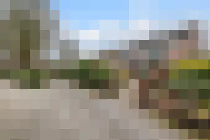 Roerdomplaan 23 Hoogeveen thumbnail 28
