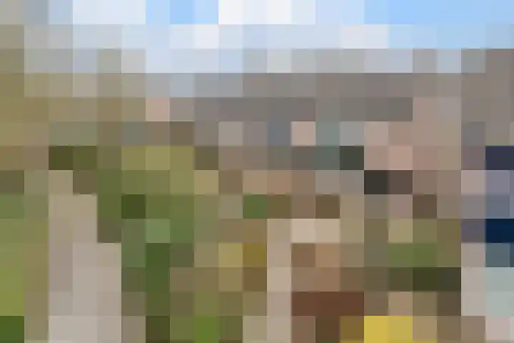 Roerdomplaan 23 Hoogeveen thumbnail 29