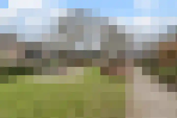 Roerdomplaan 23 Hoogeveen thumbnail 31