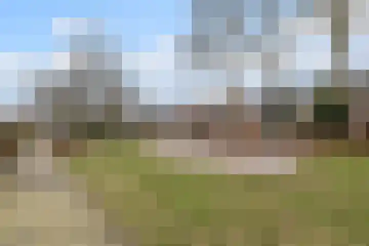 Roerdomplaan 23 Hoogeveen thumbnail 32