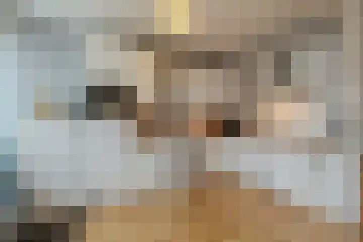 Roerdomplaan 23 Hoogeveen thumbnail 7