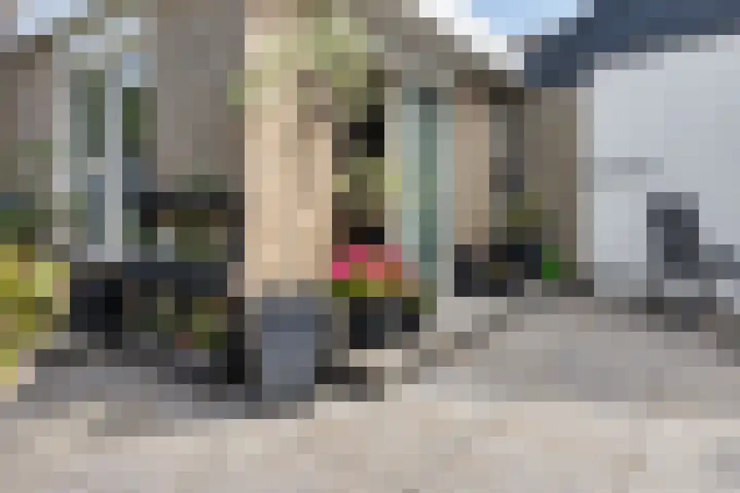 Roerdomplaan 25 Heerenveen thumbnail 26