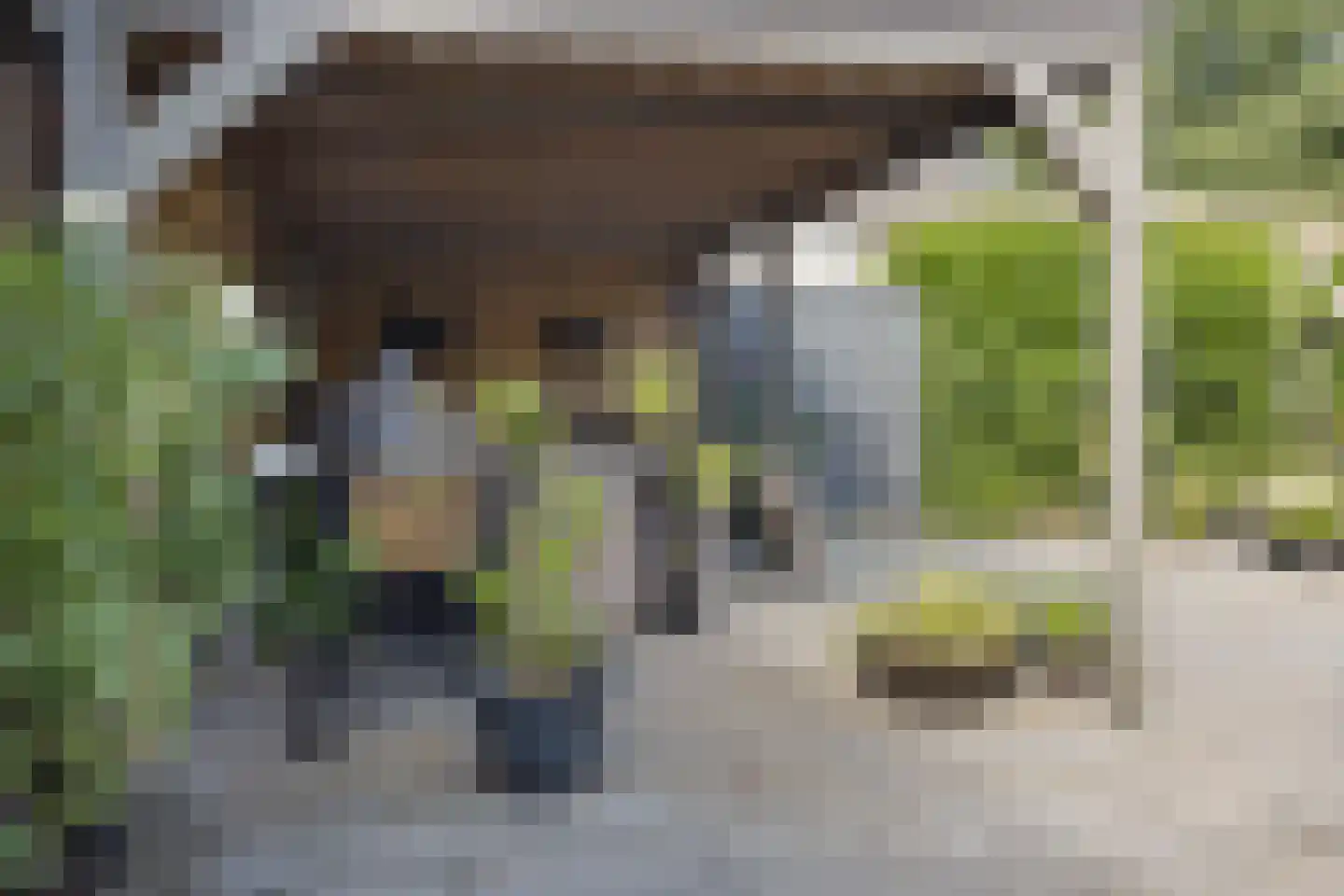 Roerdomplaan 25 Heerenveen thumbnail 28