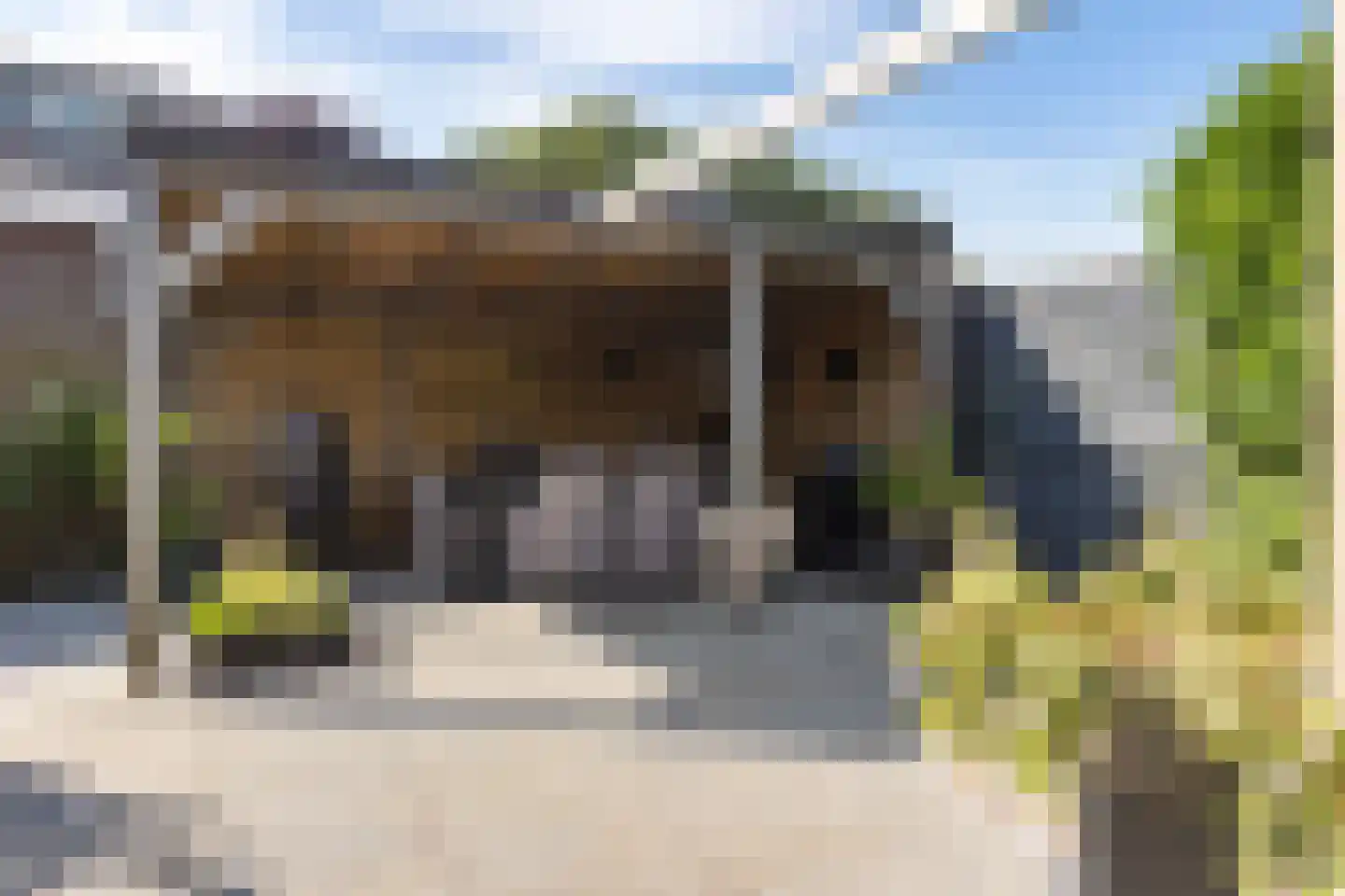 Roerdomplaan 25 Heerenveen thumbnail 32