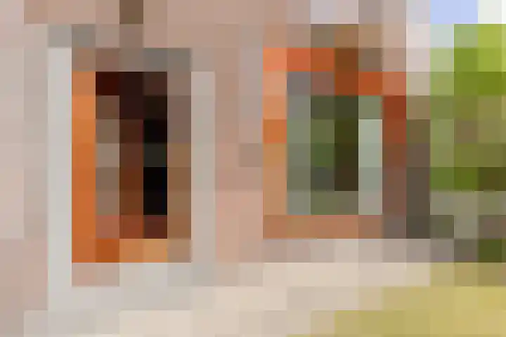 Roerdomplaan 35 Rotterdam thumbnail 10