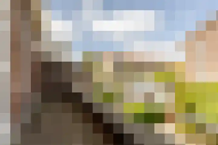 Roerdomplaan 35 Rotterdam thumbnail 25