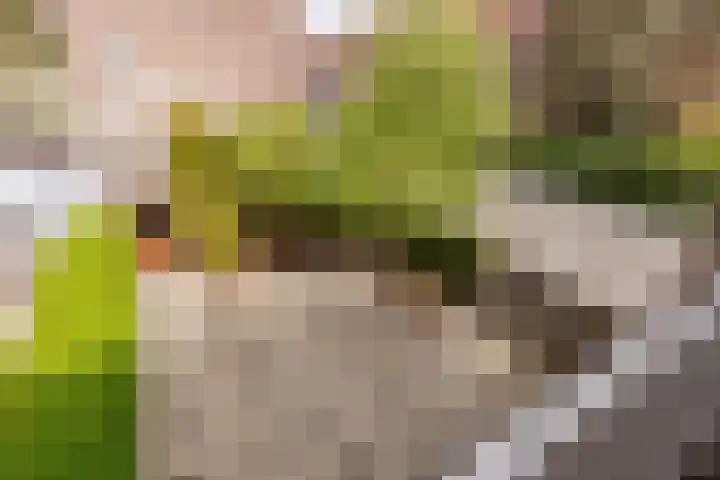 Roerdomplaan 35 Rotterdam thumbnail 26