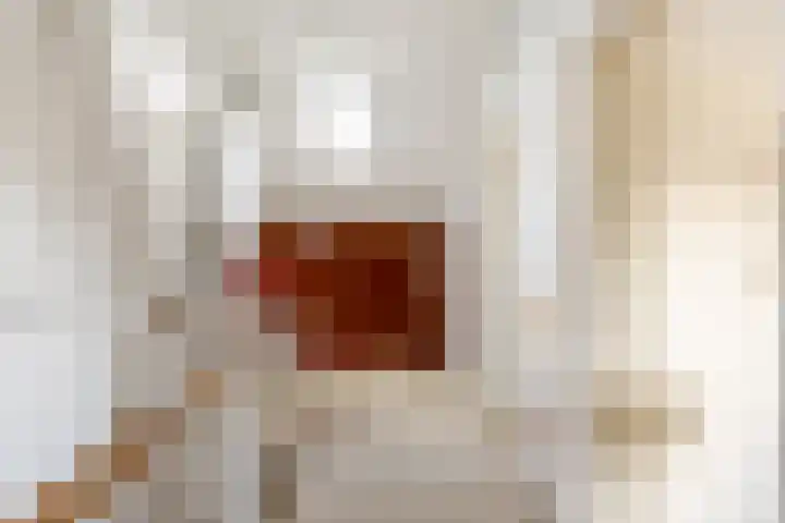 Roerdomplaan 35 Rotterdam thumbnail 30