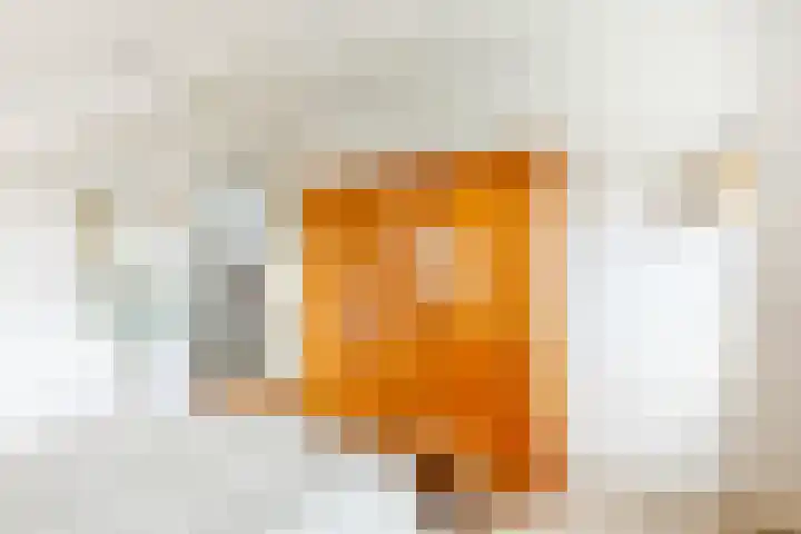 Roerdomplaan 35 Rotterdam thumbnail 32