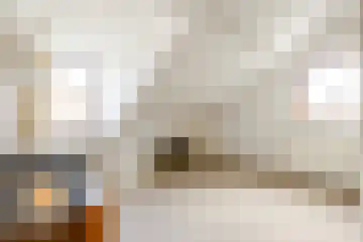 Roerdomplaan 35 Rotterdam thumbnail 33