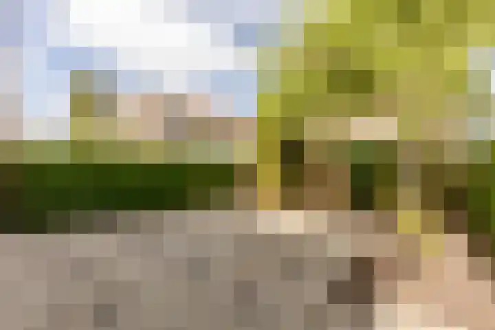 Roerdomplaan 35 Rotterdam thumbnail 37