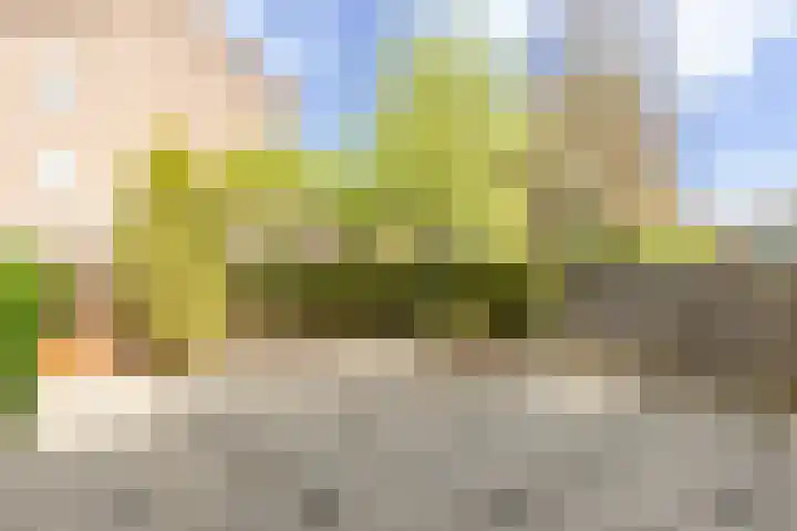 Roerdomplaan 35 Rotterdam thumbnail 38
