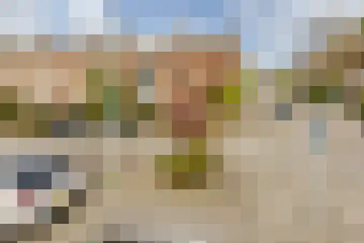 Roerdomplaan 35 Rotterdam thumbnail 5